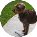 bob lyding profile picture